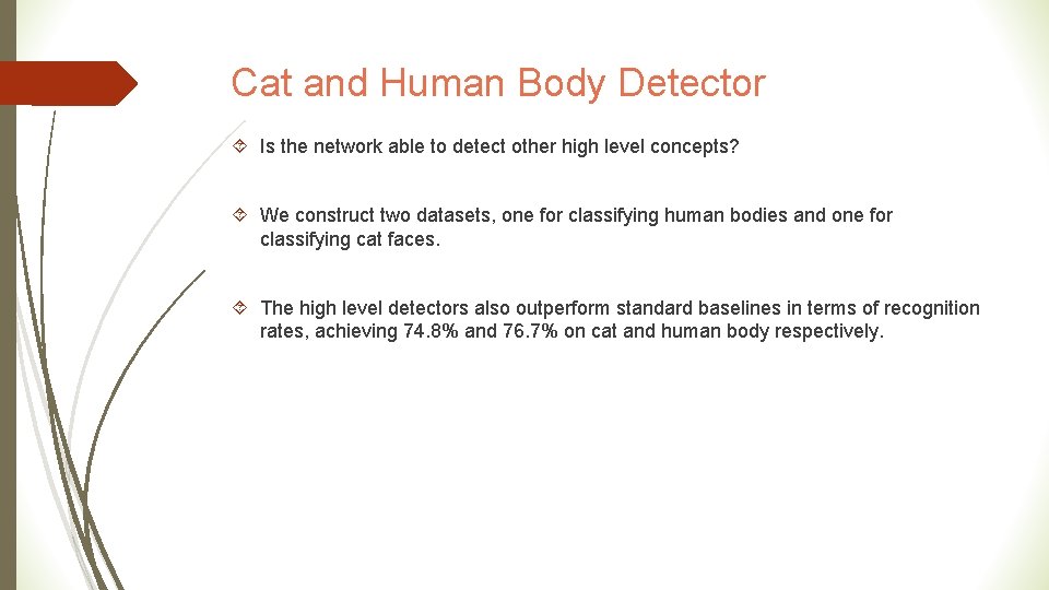 Cat and Human Body Detector Is the network able to detect other high level