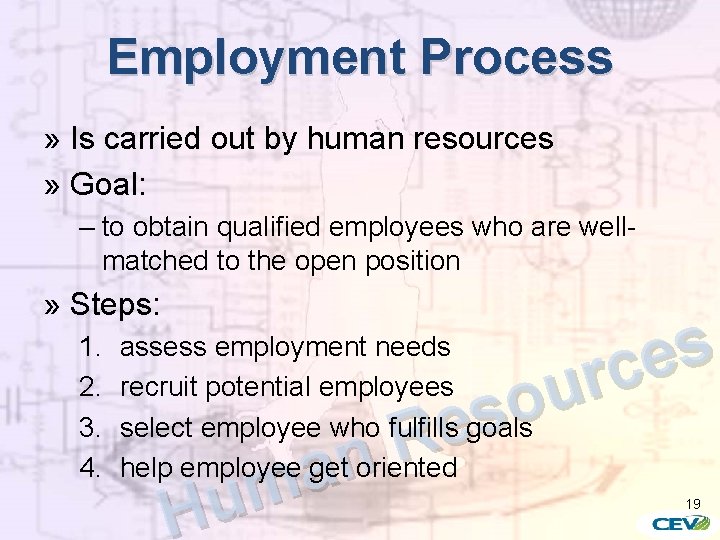 Employment Process » Is carried out by human resources » Goal: – to obtain