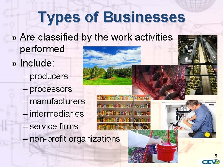 Types of Businesses » Are classified by the work activities performed » Include: –