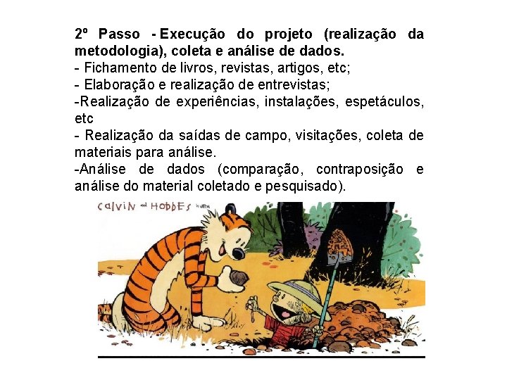 2º Passo - Execução do projeto (realização da metodologia), coleta e análise de dados.