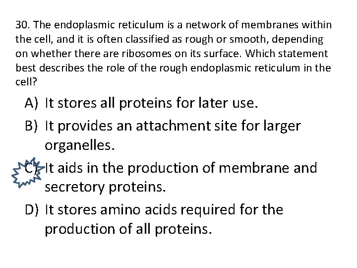 30. The endoplasmic reticulum is a network of membranes within the cell, and it