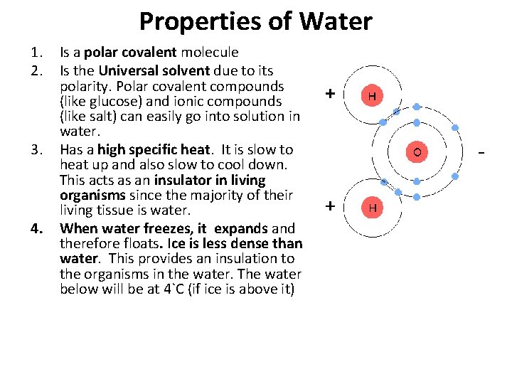 Properties of Water 1. 2. 3. 4. Is a polar covalent molecule Is the