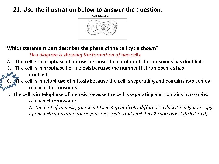 21. Use the illustration below to answer the question. Which statement best describes the