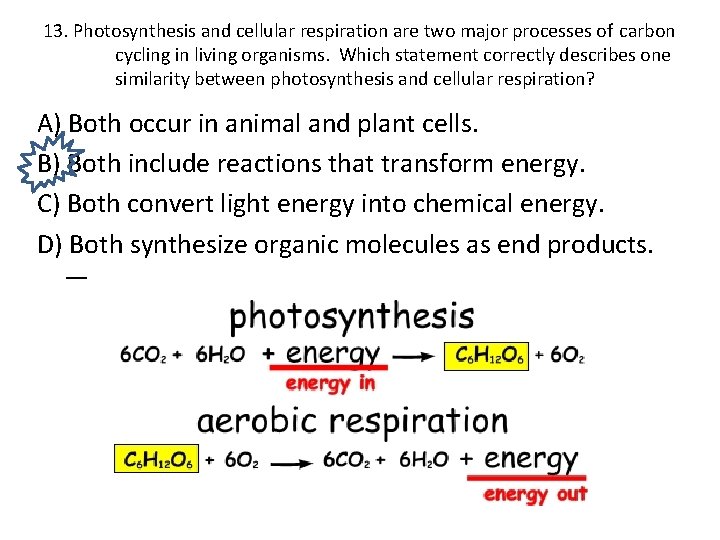 13. Photosynthesis and cellular respiration are two major processes of carbon cycling in living