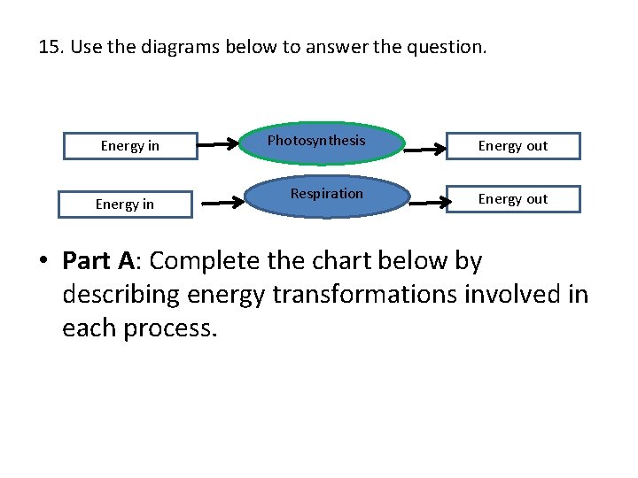 15. Use the diagrams below to answer the question. Energy in Photosynthesis Energy out