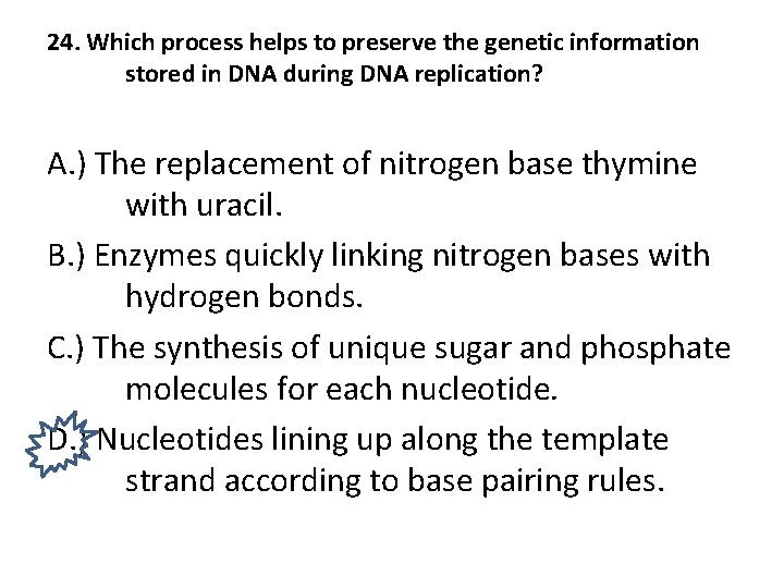 24. Which process helps to preserve the genetic information stored in DNA during DNA