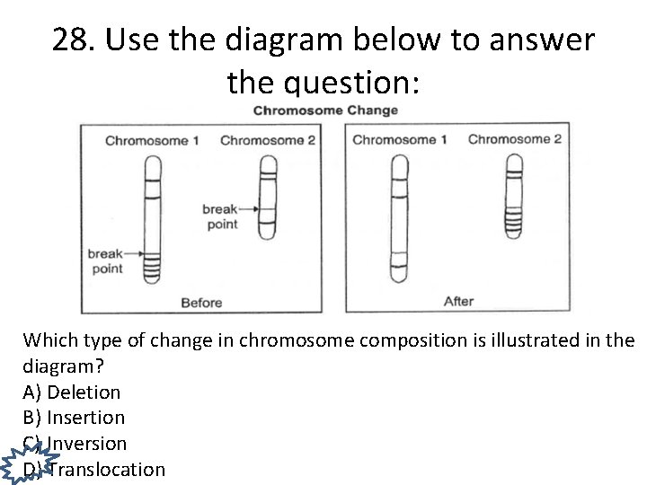 28. Use the diagram below to answer the question: Which type of change in