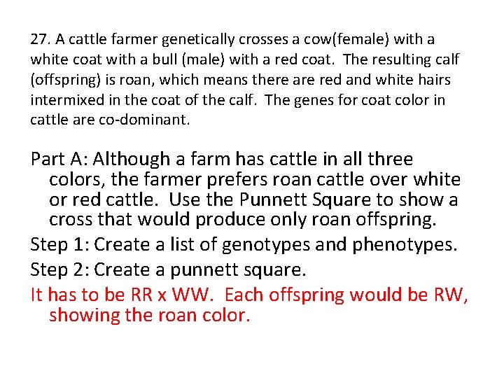 27. A cattle farmer genetically crosses a cow(female) with a white coat with a