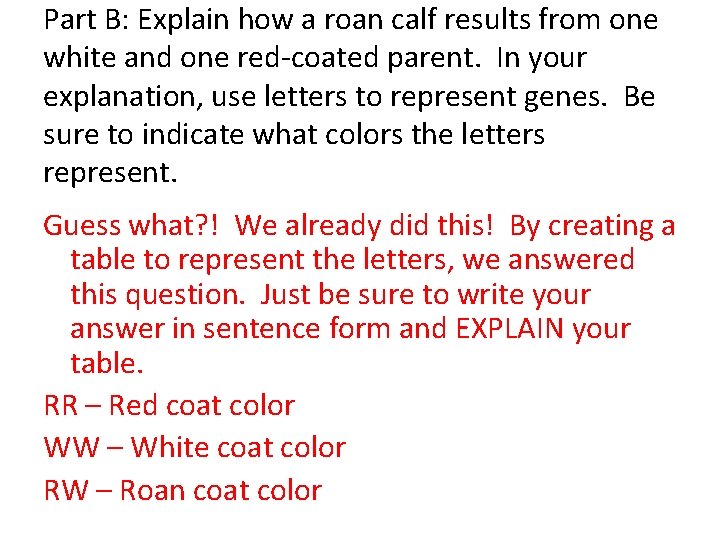 Part B: Explain how a roan calf results from one white and one red