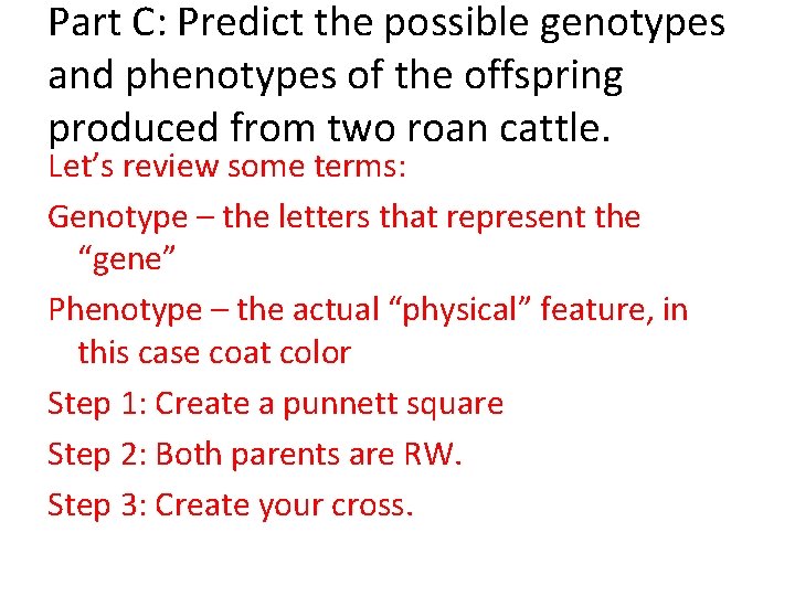 Part C: Predict the possible genotypes and phenotypes of the offspring produced from two