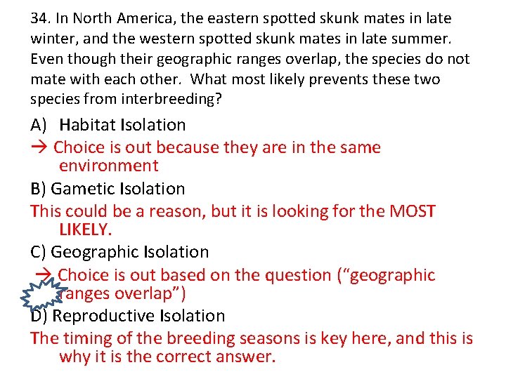 34. In North America, the eastern spotted skunk mates in late winter, and the