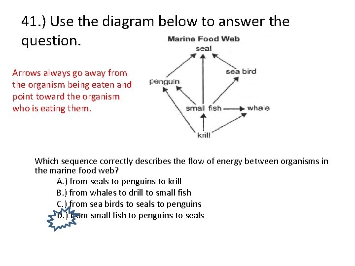 41. ) Use the diagram below to answer the question. Arrows always go away