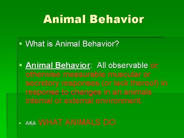 Animal Behavior § What is Animal Behavior? § Animal Behavior: All observable or otherwise
