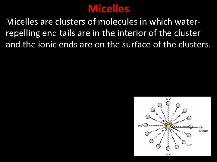 Micelles are clusters of molecules in which waterrepelling end tails are in the interior