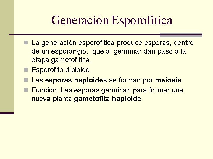 Generación Esporofítica n La generación esporofitica produce esporas, dentro de un esporangio, que al