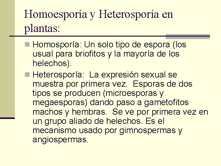 Homoesporía y Heterosporía en plantas: n Homosporía: Un solo tipo de espora (los usual