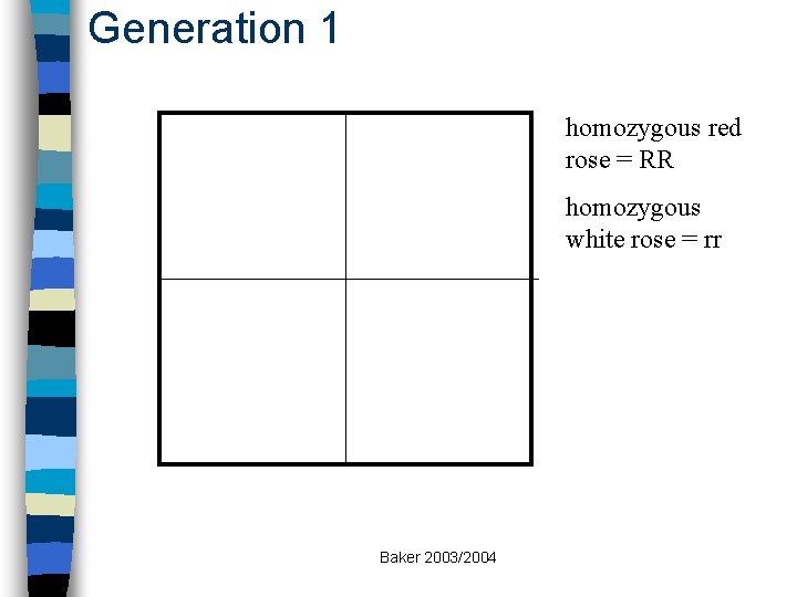 Generation 1 homozygous red rose = RR homozygous white rose = rr Baker 2003/2004