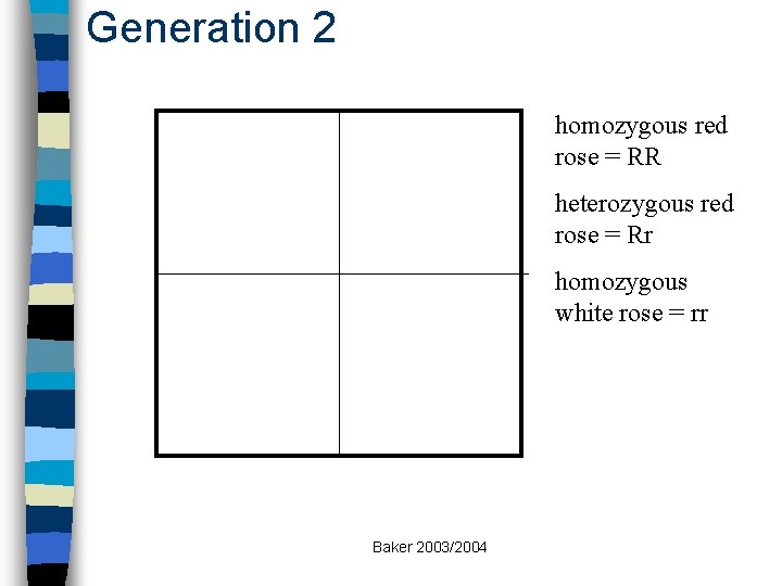 Generation 2 homozygous red rose = RR heterozygous red rose = Rr homozygous white