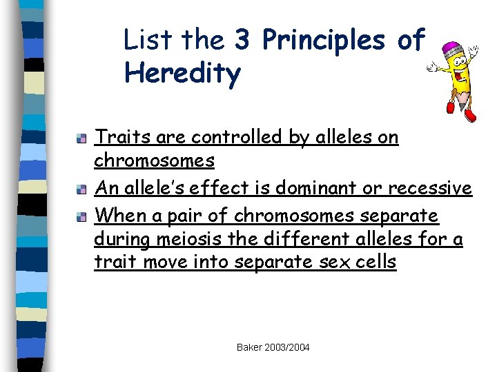 List the 3 Principles of Heredity Traits are controlled by alleles on chromosomes An