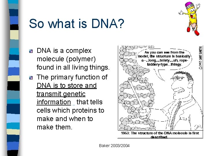 So what is DNA? DNA is a complex molecule (polymer) found in all living