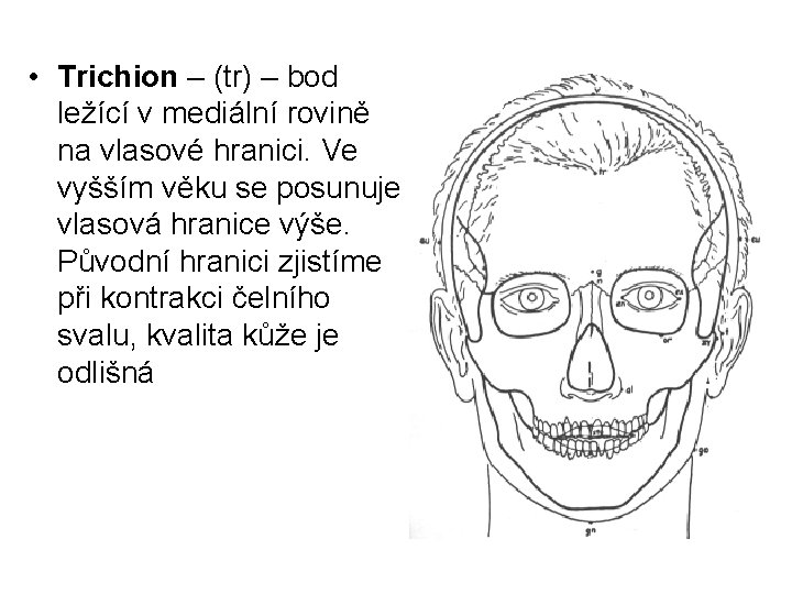  • Trichion – (tr) – bod ležící v mediální rovině na vlasové hranici.