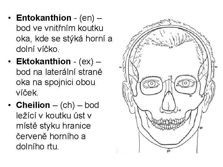  • Entokanthion - (en) – bod ve vnitřním koutku oka, kde se stýká