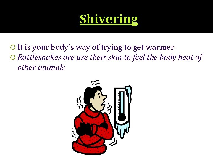 Shivering It is your body’s way of trying to get warmer. Rattlesnakes are use