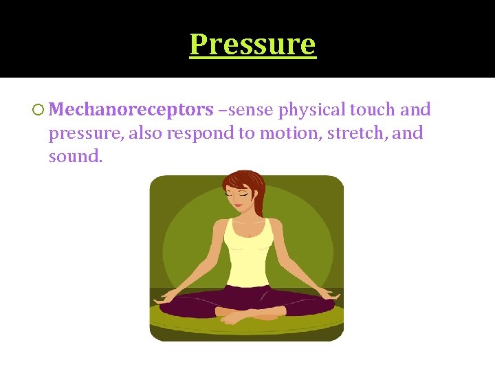 Pressure Mechanoreceptors –sense physical touch and pressure, also respond to motion, stretch, and sound.