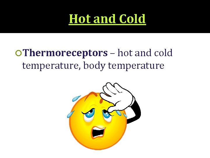 Hot and Cold Thermoreceptors – hot and cold temperature, body temperature 