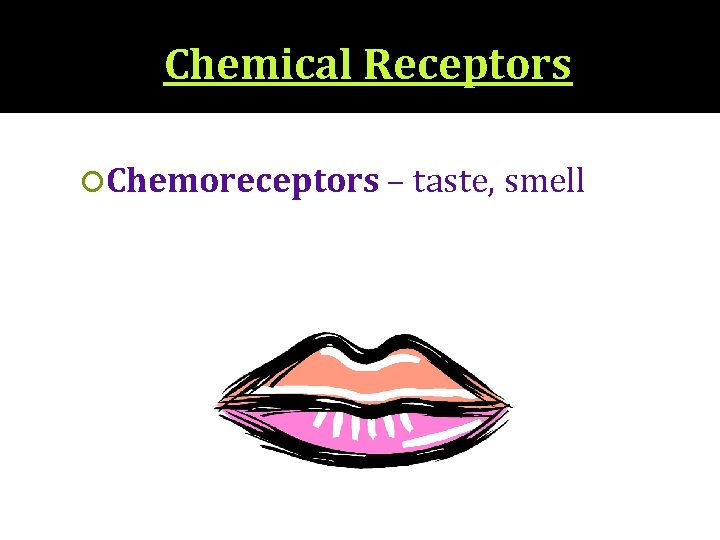 Chemical Receptors Chemoreceptors – taste, smell 
