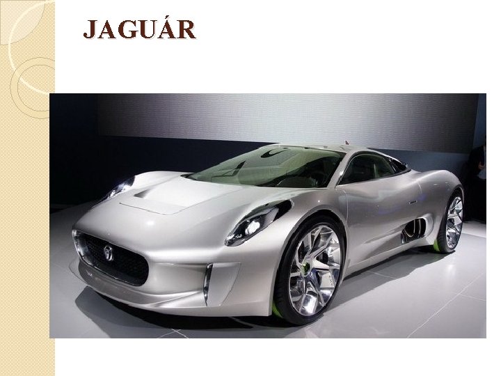 JAGUÁR 