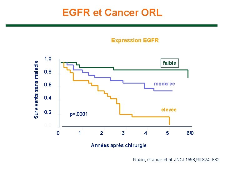 EGFR et Cancer ORL Survivants sans maladie Expression EGFR 1. 0 faible 0. 8
