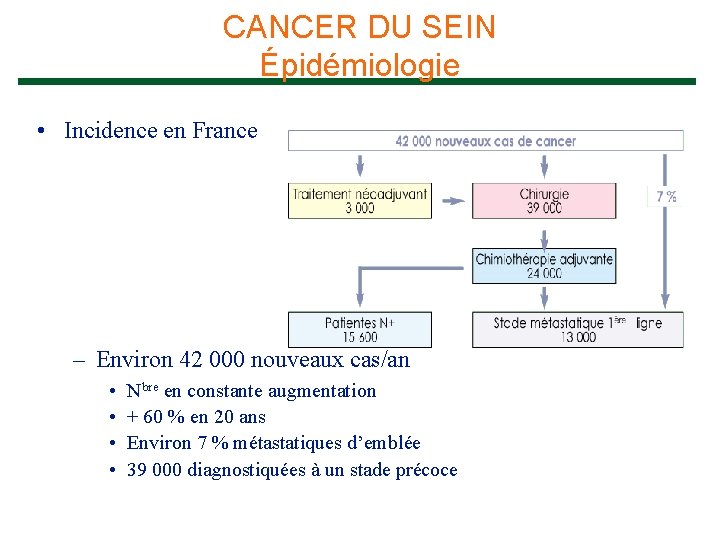 CANCER DU SEIN Épidémiologie • Incidence en France – Environ 42 000 nouveaux cas/an