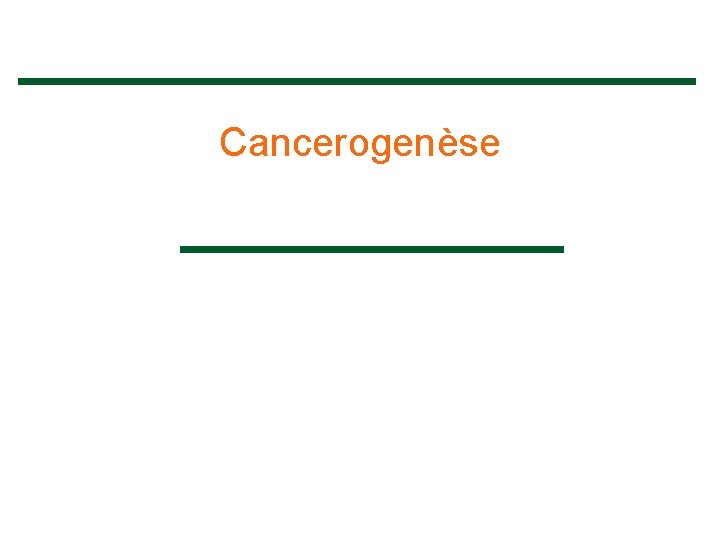 Cancerogenèse 