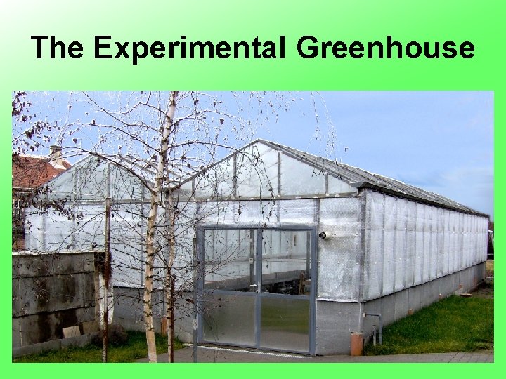 The Experimental Greenhouse 