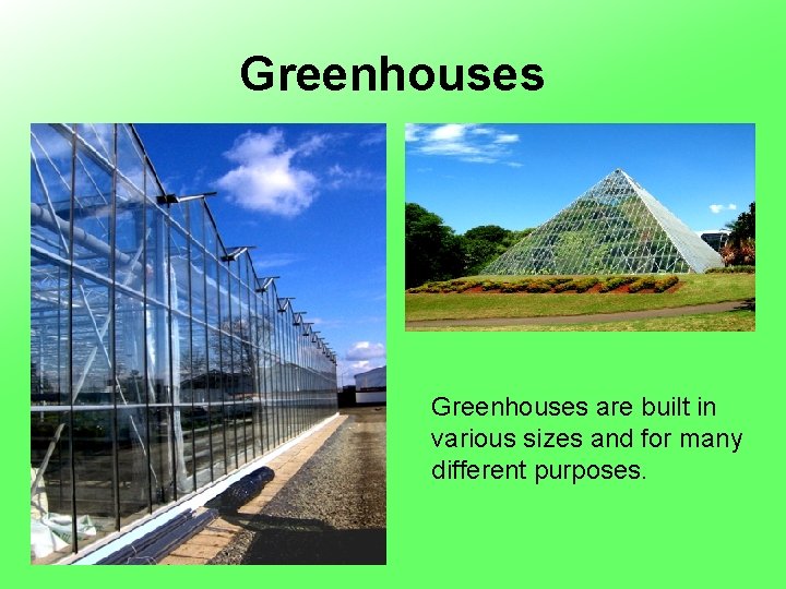 Greenhouses are built in various sizes and for many different purposes. 