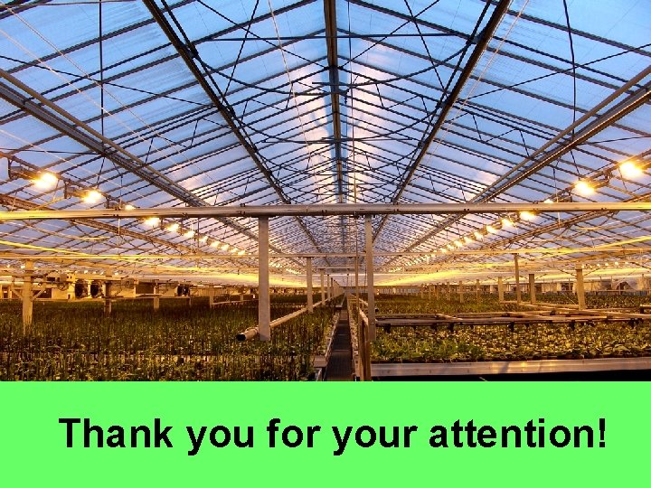 Thank you for your attention! 