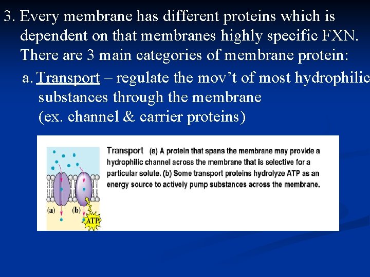 3. Every membrane has different proteins which is dependent on that membranes highly specific