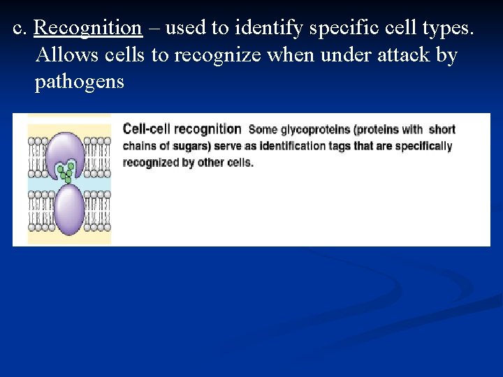 c. Recognition – used to identify specific cell types. Allows cells to recognize when