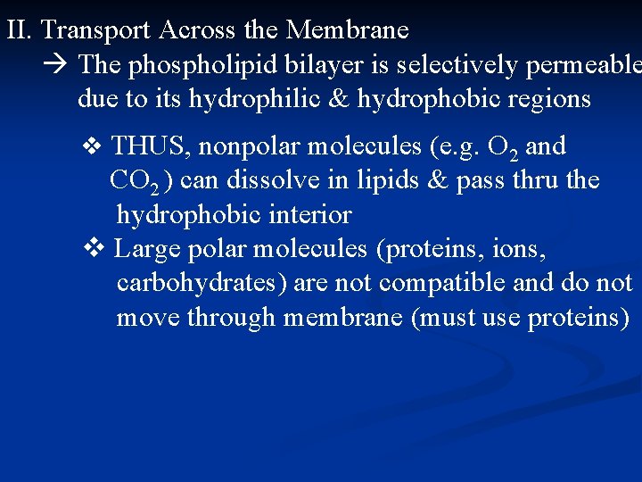 II. Transport Across the Membrane The phospholipid bilayer is selectively permeable due to its