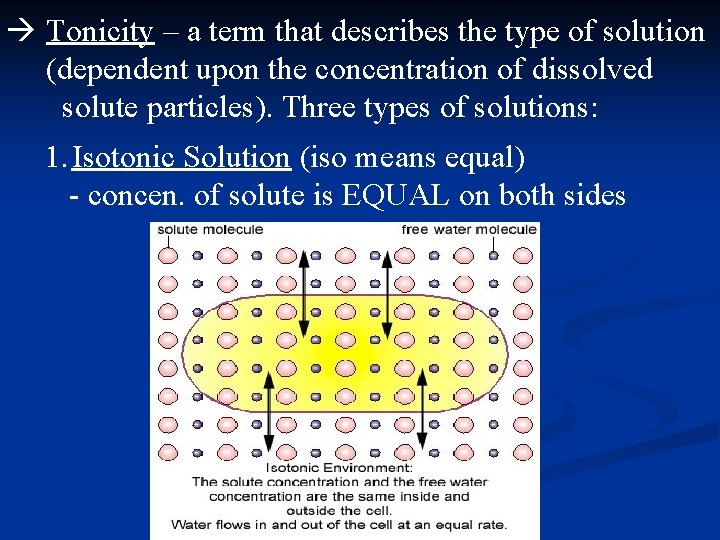  Tonicity – a term that describes the type of solution (dependent upon the