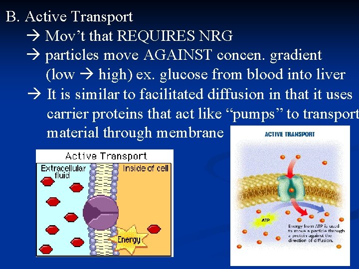 B. Active Transport Mov’t that REQUIRES NRG particles move AGAINST concen. gradient (low high)
