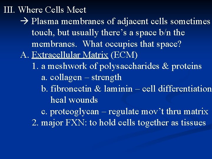 III. Where Cells Meet Plasma membranes of adjacent cells sometimes touch, but usually there’s