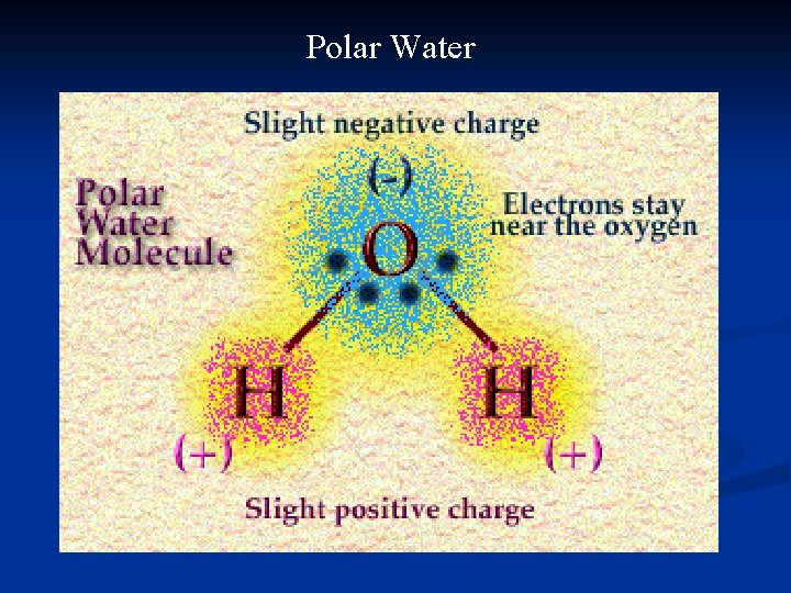 Polar Water 