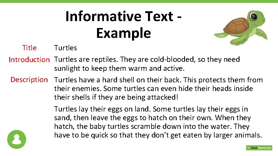 Informative Text Example Title Turtles Introduction Turtles are reptiles. They are cold-blooded, so they