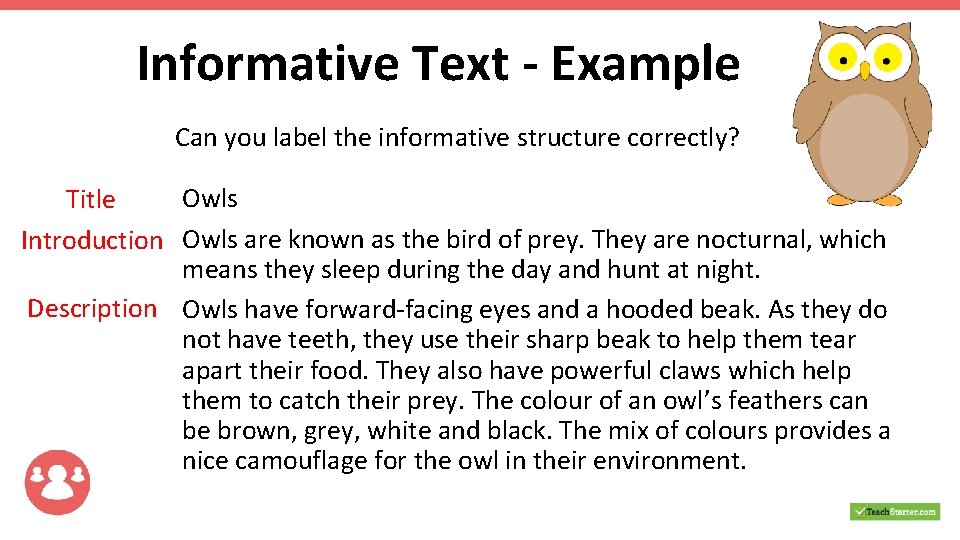 Informative Text - Example Can you label the informative structure correctly? Owls Title Introduction