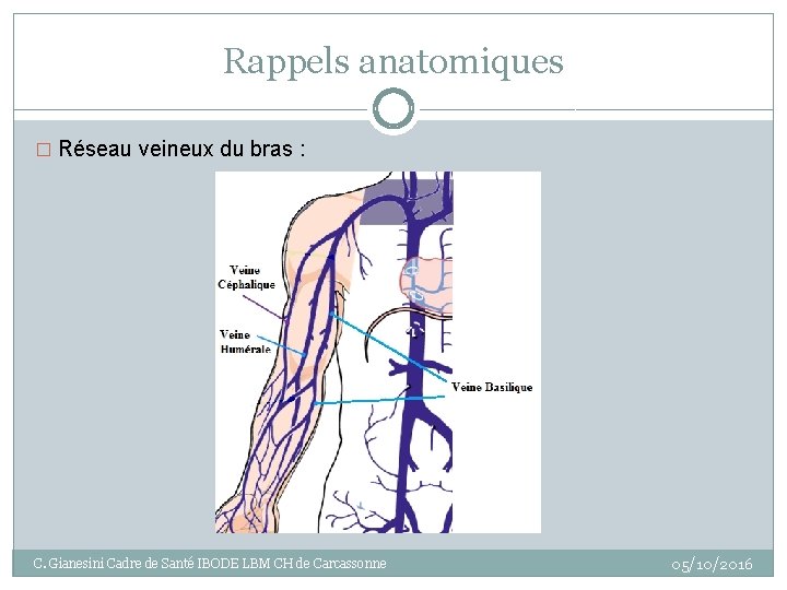 Rappels anatomiques � Réseau veineux du bras : C. Gianesini Cadre de Santé IBODE