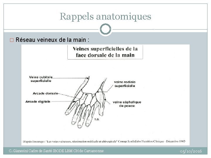 Rappels anatomiques � Réseau veineux de la main : C. Gianesini Cadre de Santé