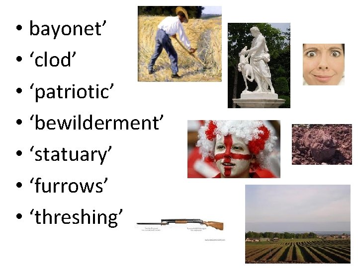  • bayonet’ • ‘clod’ • ‘patriotic’ • ‘bewilderment’ • ‘statuary’ • ‘furrows’ •
