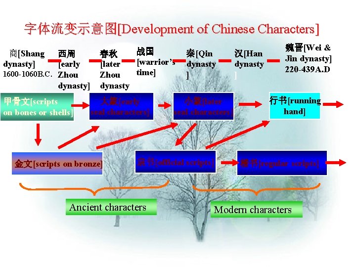 字体流变示意图[Development of Chinese Characters] 商[Shang dynasty] 魏晋[Wei & 战国 秦[Qin 汉[Han 春秋 Jin dynasty]